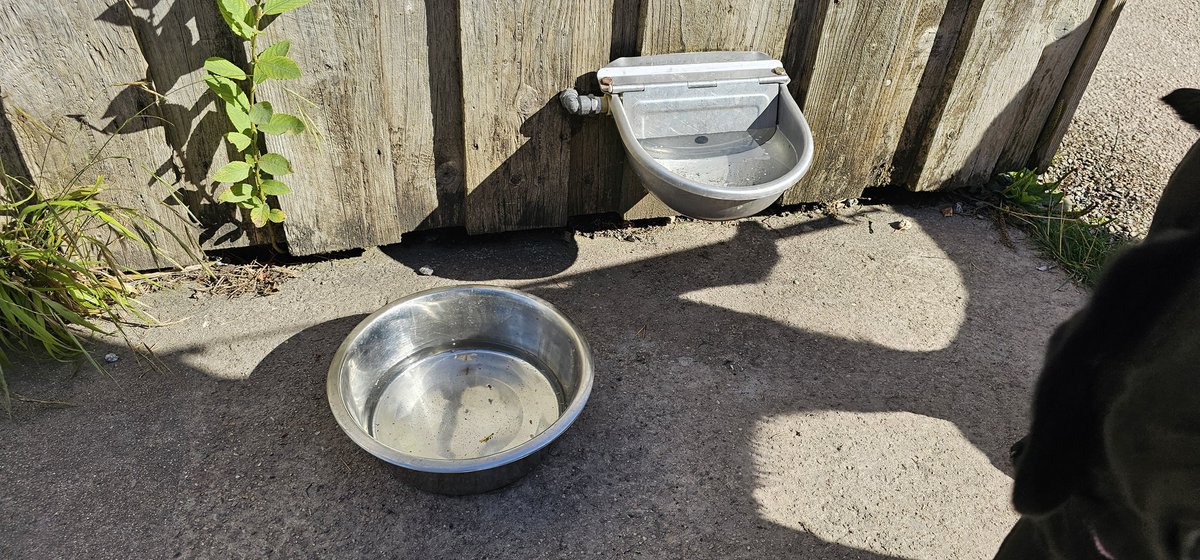 PLANEtalking tweet media