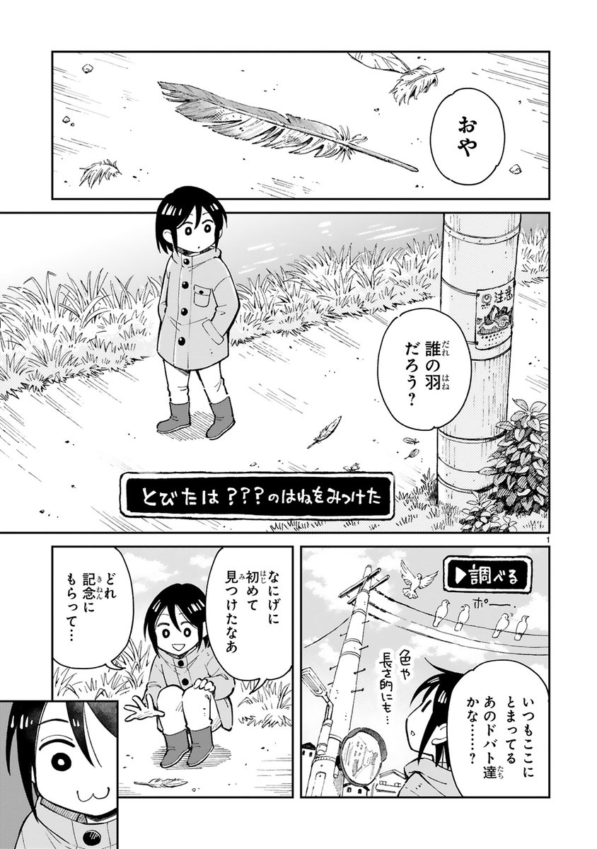 鳥の羽を拾ってみたら楽しかった話（1/4）