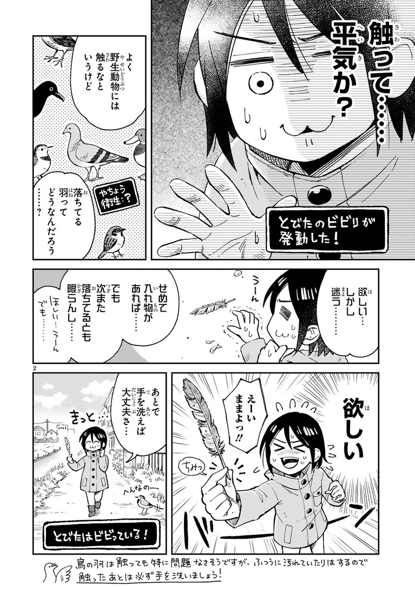 (2/4) 