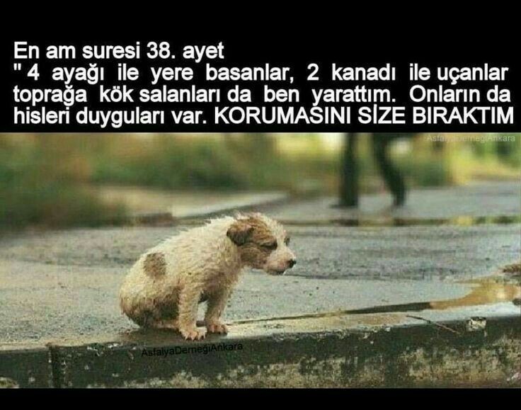 #AltindagdaKatliamVar