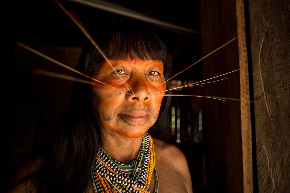 Midori Paxton tweet media