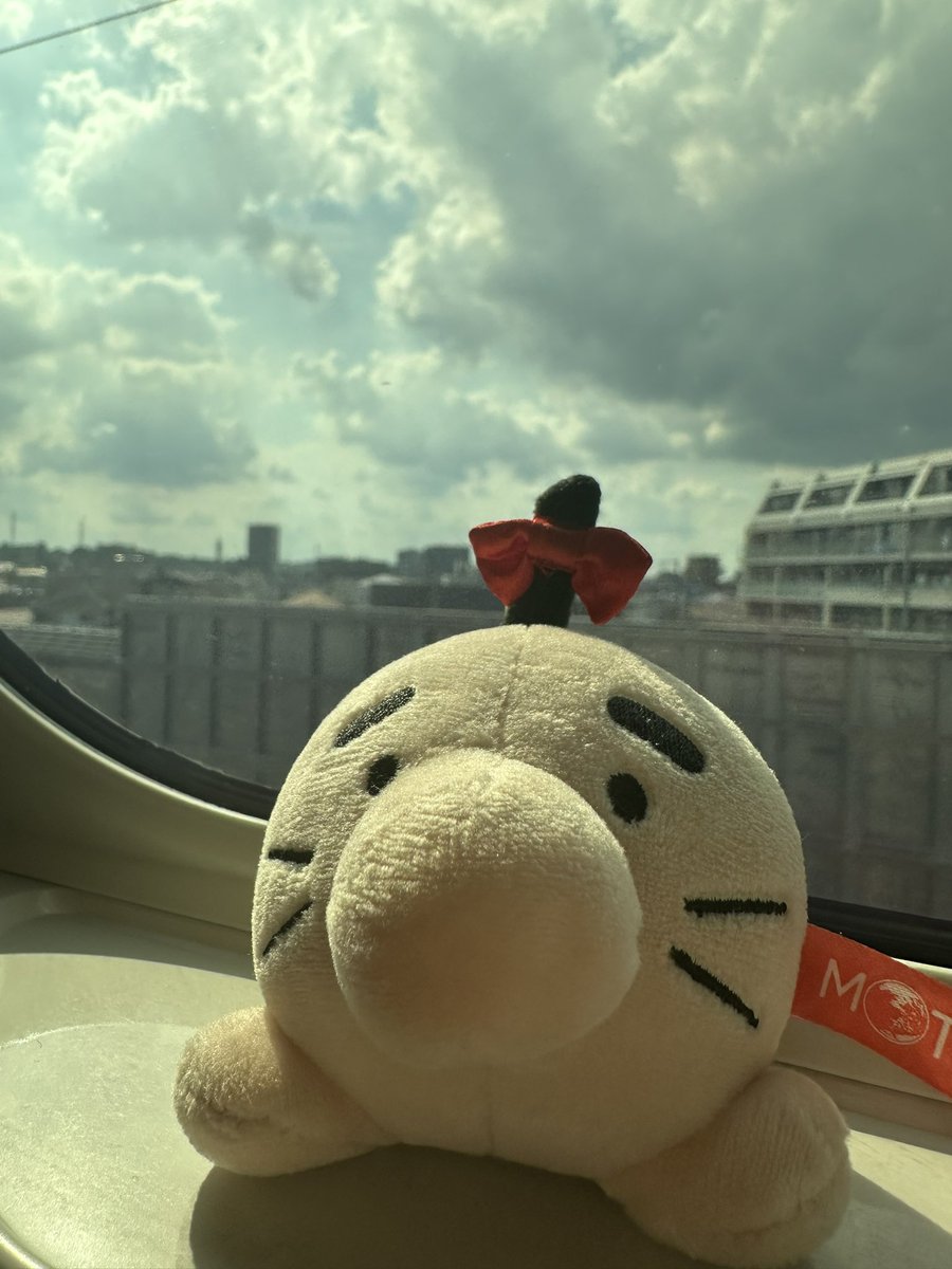 (🌟)またあした。ぽえーん。