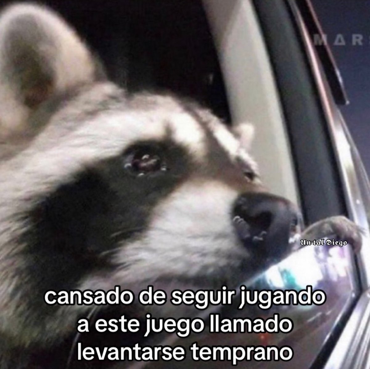 Guarromantico_'s tweet image. Ya pofavo!