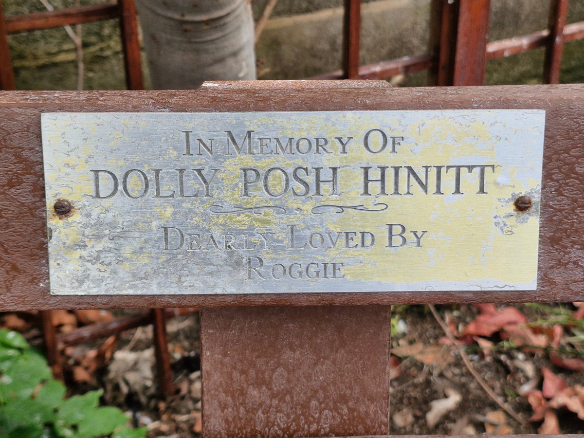 In memory of Dolly, she was posh, innit.