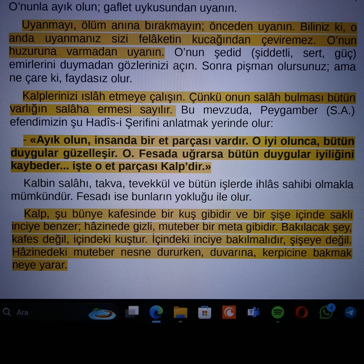 raithmus's tweet photo. @Fparrhesia https://t.co/ZvMdvuloKN