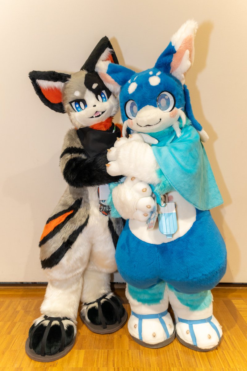 ハムねこ?➡⁉️ (@hamuneko1) / X