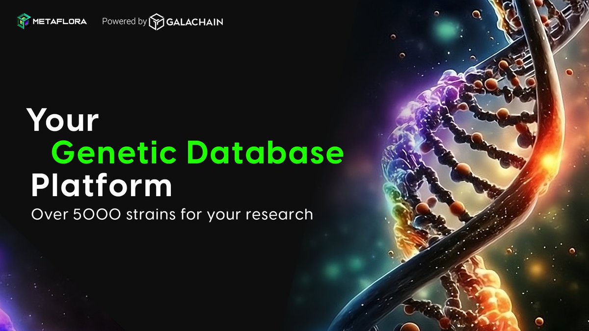 MetaFloraLabs's tweet image. 🌿The latest strain info &amp;amp; updates.

🔥Don’t miss our upcoming strain database!

🚀 Follow MetaFlora, join our Discord, and be the first to know what’s fresh in the cannabis world!

Join us on Discord too👇
discord.com/invite/KmTkMxG…

.
.
.
#Web3Weed #Web3Cannabis #BioTech #DePIN…