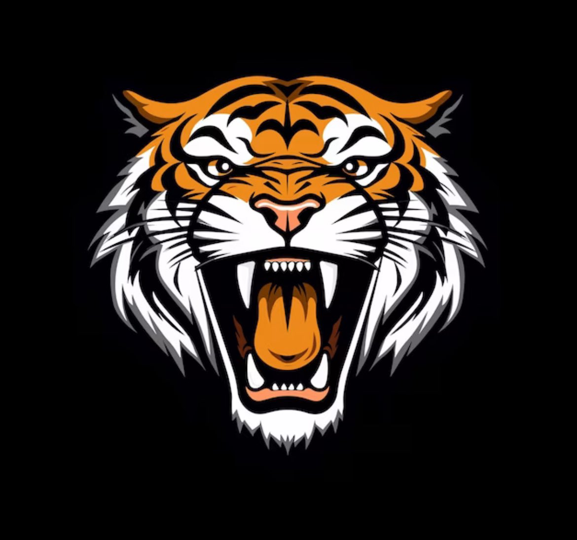 ELAPinderSE's tweet photo. Southeast Tigers are here
The Southeast Tigers are on the prowl, ready to conquer this school year. Our journey to 30 is just getting started, and we're coming in strong!
   #FPCSSE #Journeyto30 #OneFriendship #TigerPride
@FriendshipPCS https://t.co/ozsMy2jqNT