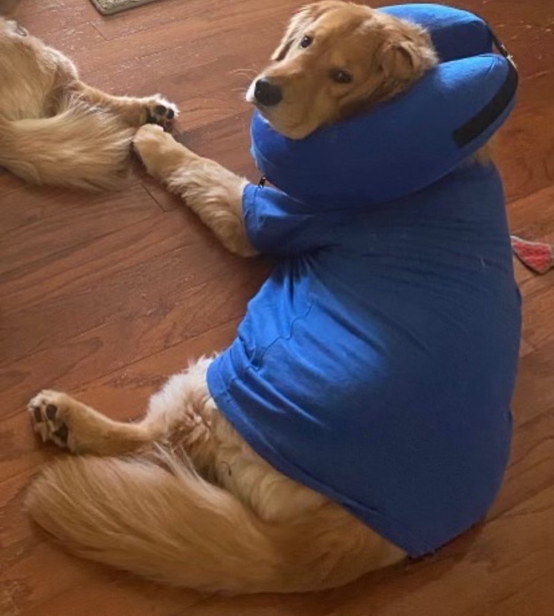 BarstoolStetson's tweet image. #GoodBoyFriday