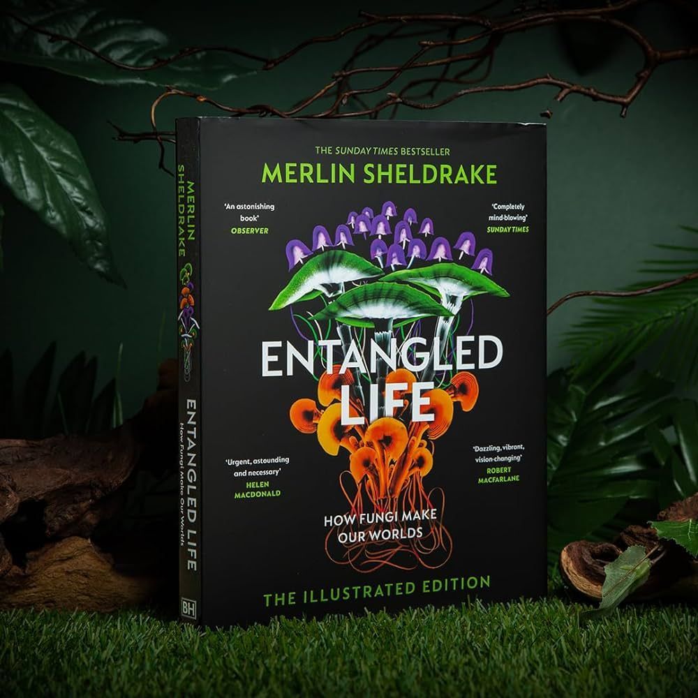 Hot Poets (@hot_poets) on Twitter photo 🔥Book Recommendation 🔥
Entangled Life by <a href="/MerlinSheldrake/">Merlin Sheldrake</a>
"the IT book of mycelium and interconnectedness...Frickin mindblowing" - <a href="/Chris_Redmond_/">Chris Redmond</a> 🔥Book Recommendation 🔥
Entangled Life by <a href="/MerlinSheldrake/">Merlin Sheldrake</a>
"the IT book of mycelium and interconnectedness...Frickin mindblowing" - <a href="/Chris_Redmond_/">Chris Redmond</a>