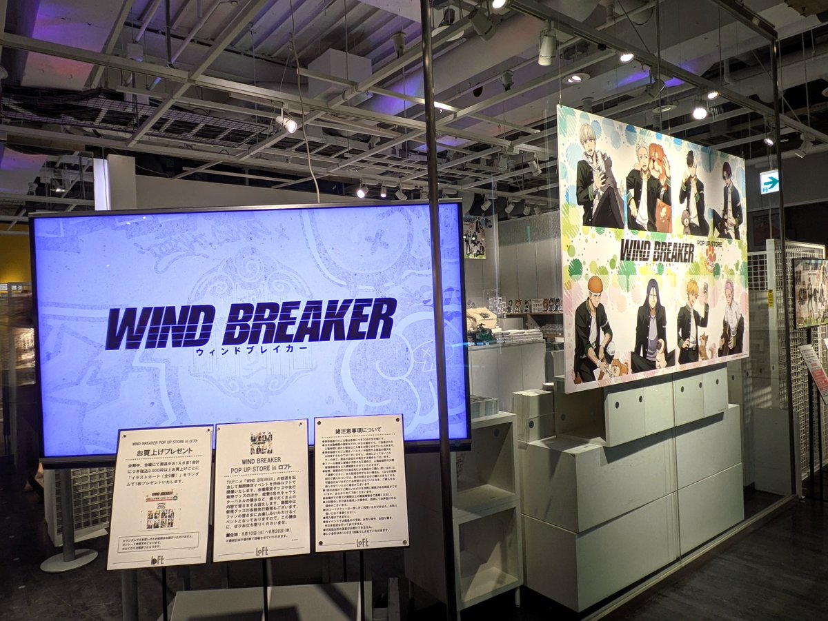 lesserafim popup wind breaker ウィンドブレーカー