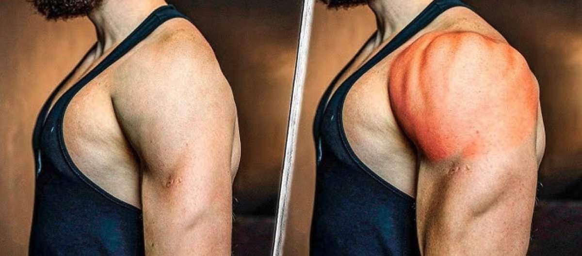 carlos_muscul's tweet image. 5 Ejercicios Para Un Hombro Más Grande 💪