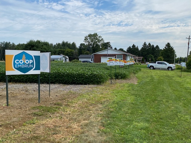 Notre parcelle d'essaie progresse bien! Rejoignez-nous pour notre BBQ jeudi 15 août, de 11h-15h. Venez voir de vos propres yeux!
-
Our Test Plot is coming along nicely! Join us at our BBQ on Thursday, August 15th, from 11AM-3PM.
Come see firsthand! 
#testplot #bbq #growers #ontag