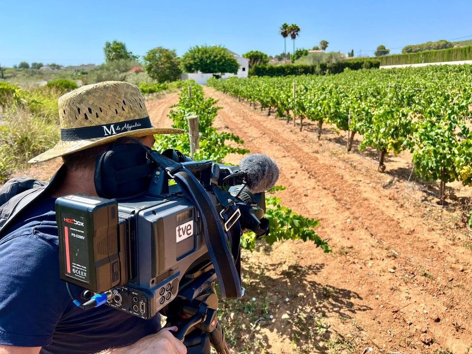 .<a href="/RTVEValencia/">RTVE Comunitat Valenciana</a> y <a href="/mifrancas/">Miguel Francés</a> gracias por interesaros por nuestra situación. La sequía amenaza de muerte el moscatel de la Marina Alta.