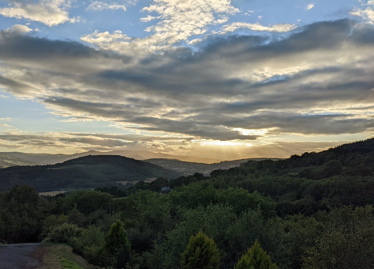 Nikki Rees tweet media