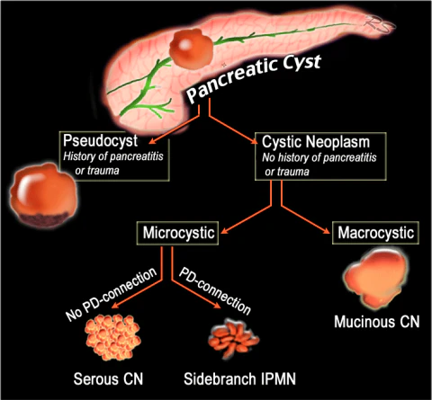 EndoCollab™ | GI Endoscopy Community tweet media