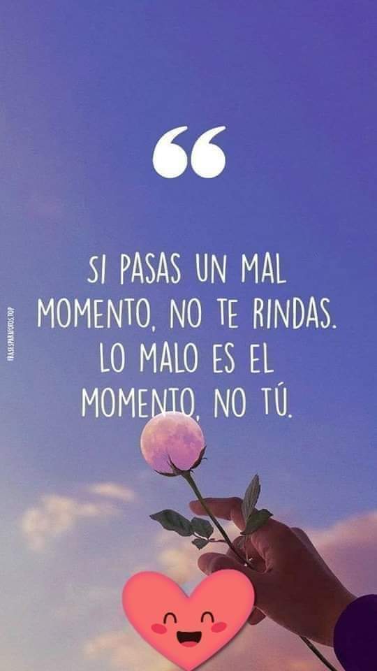 DelValleGreen's tweet photo. Todo pasa,la fe aleja el temor. 💜🌸 https://t.co/fySdi2TvAC