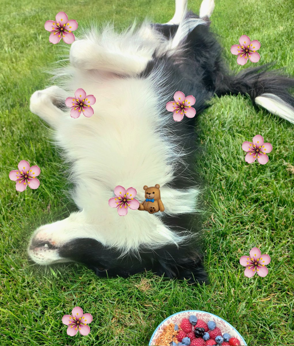 chmurka❁ masterchef recoverytwt tweet media