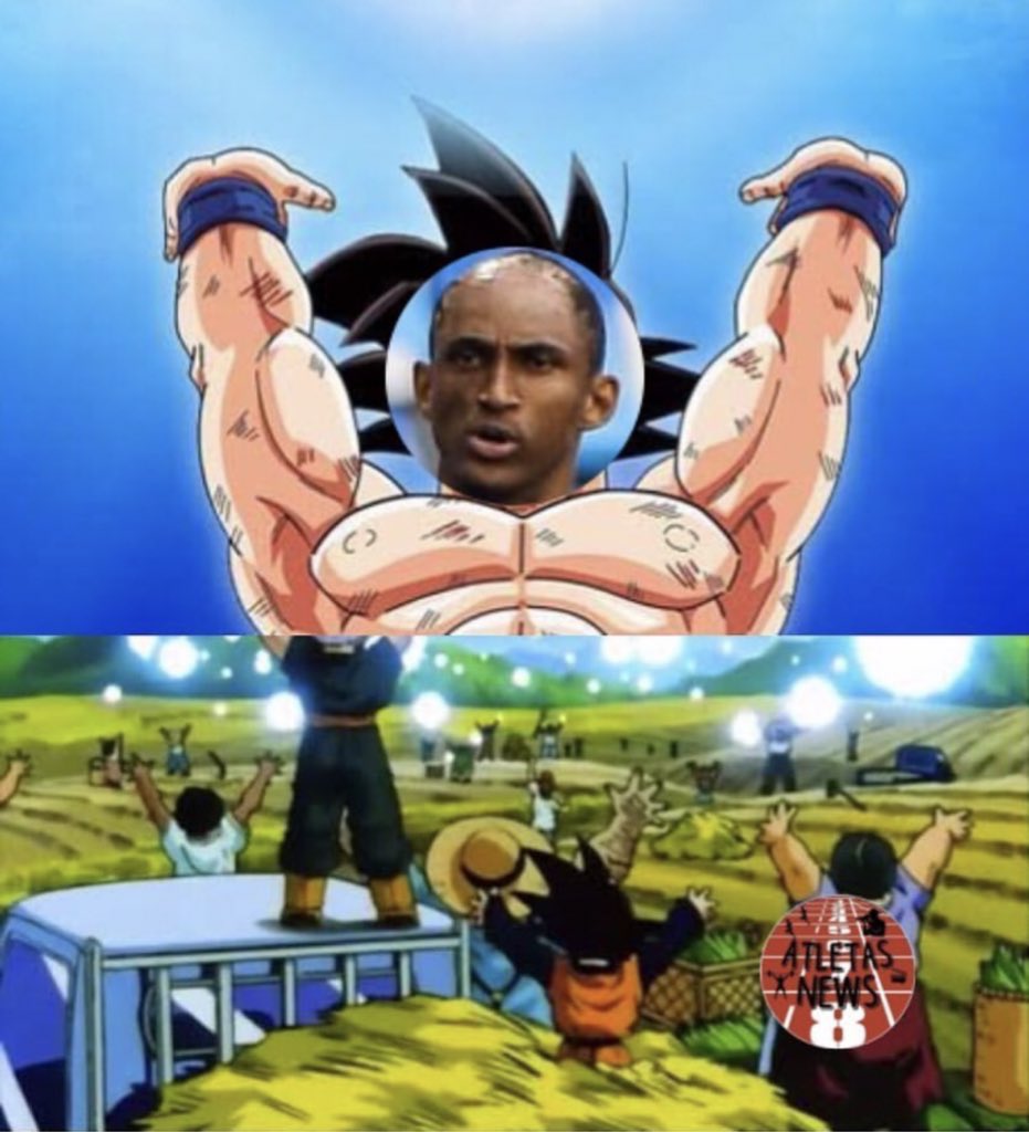 joaopbarretto's tweet image. bom dia

#PiuDay