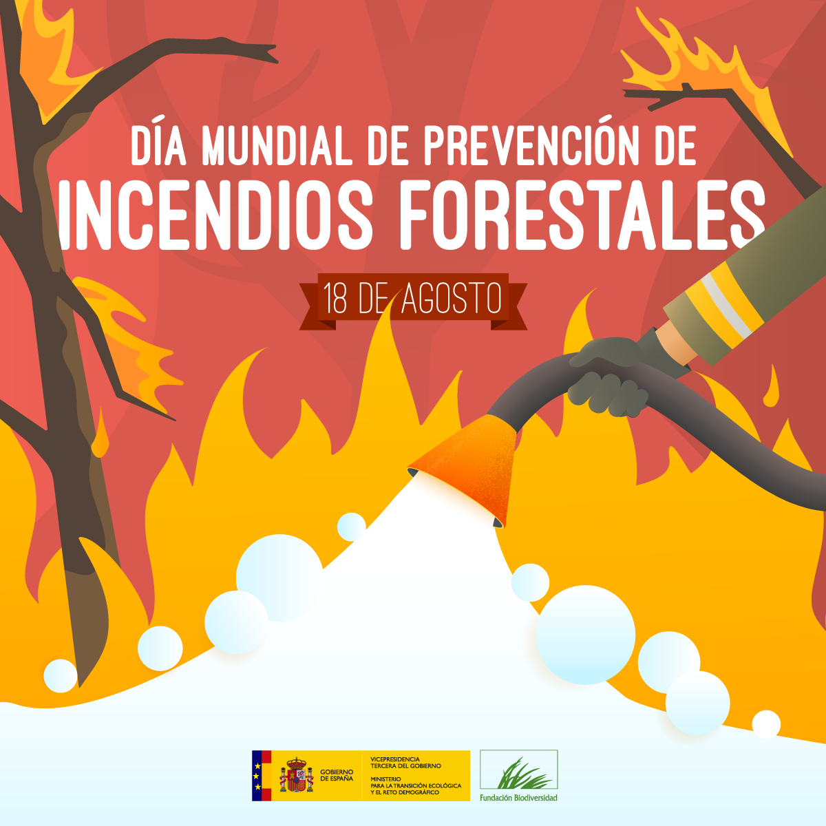 FBiodiversidad's tweet photo. Cada año arden 370 M/ha en todo el mundo 🔥🌍

Los incendios forestales 👩‍🚒🏞️ provocan graves pérdidas humanas, sociales, medioambientales y económicas.

Debemos tomar conciencia de la importancia de conservar nuestro entorno natural.

#DíaMundialPrevenciónIncendiosForestales https://t.co/UrFw2cArx0