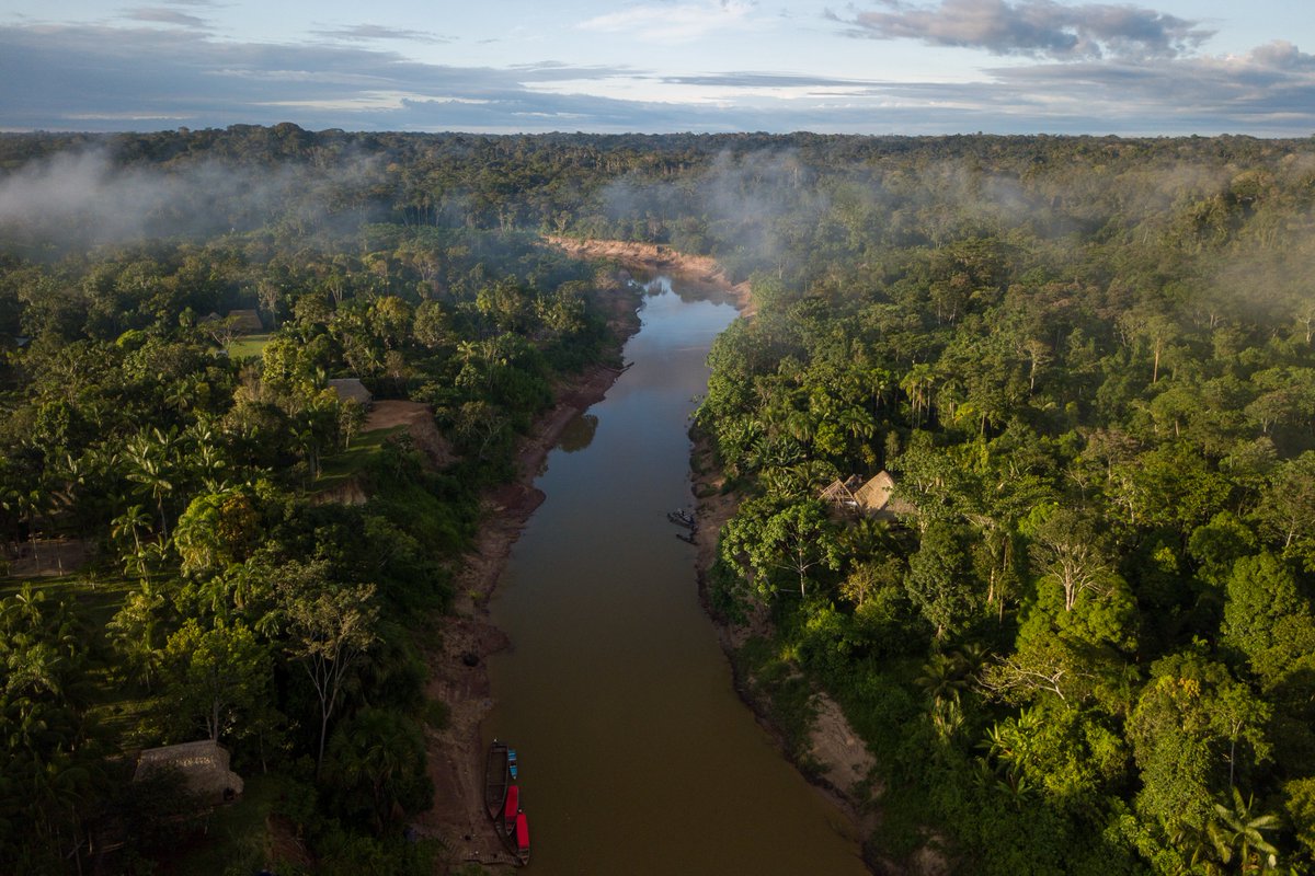 Fonds français pour l'environnement mondial (FFEM) tweet media