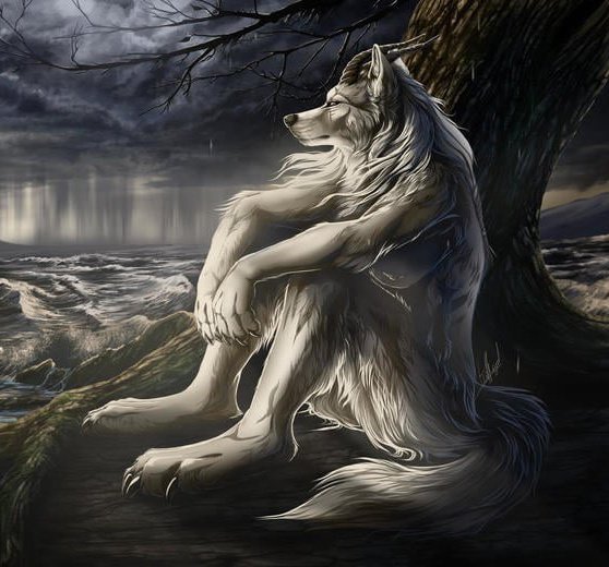 Ninnix¿? tweet media