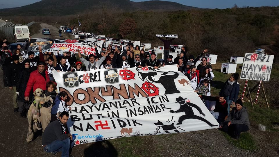 çArşı tweet media