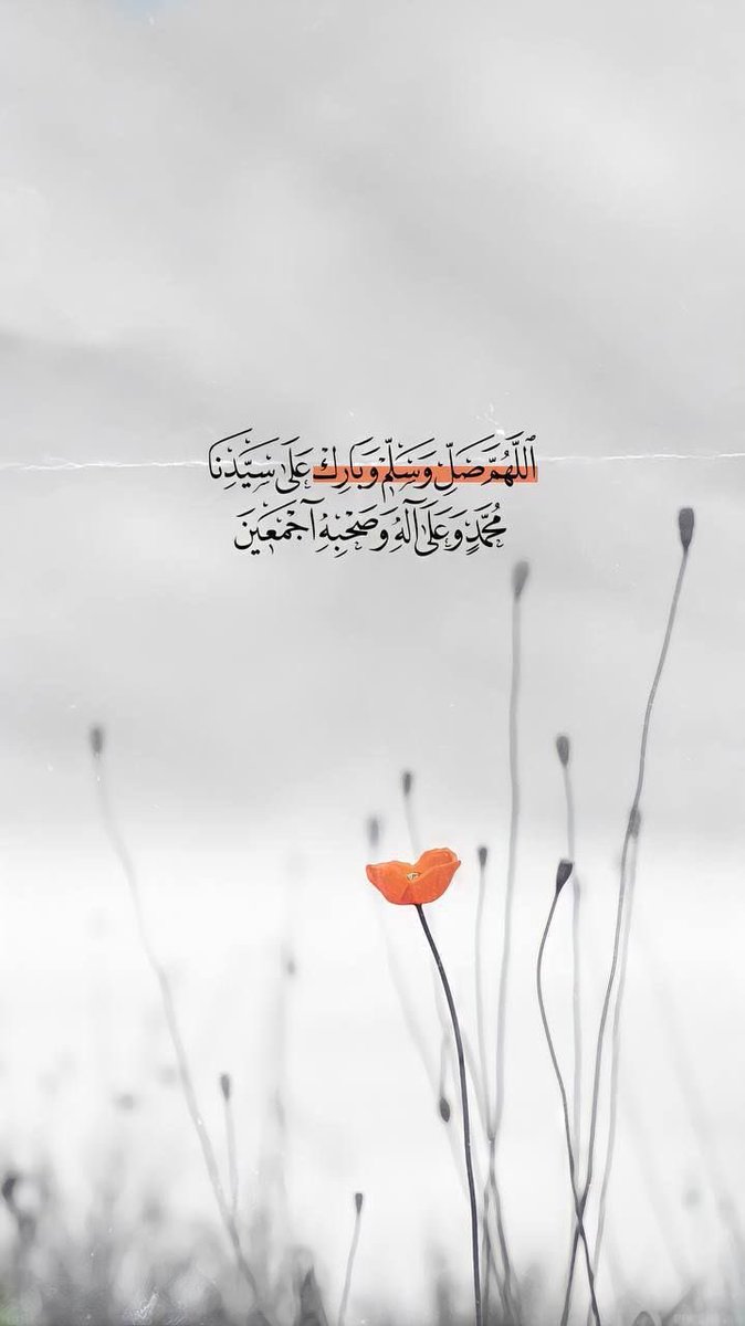 فكرة tweet media