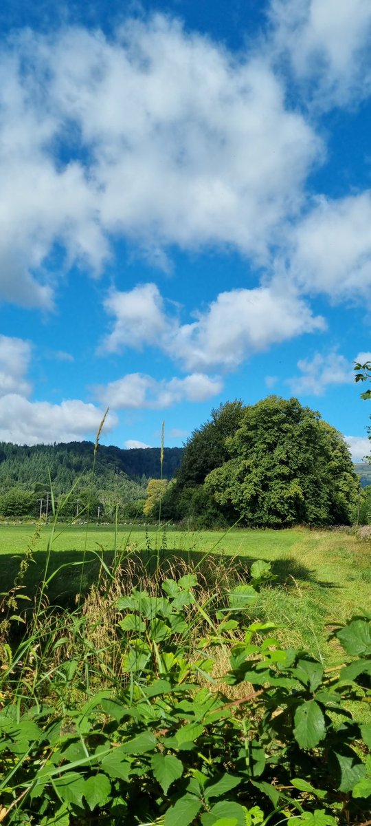 MrJTNeale's tweet photo. I've had worse offices, but quite frankly I'm just hanging on in there &amp; dreaming of @GreenManFest next week 🍻 https://t.co/9EPsqaRsNL