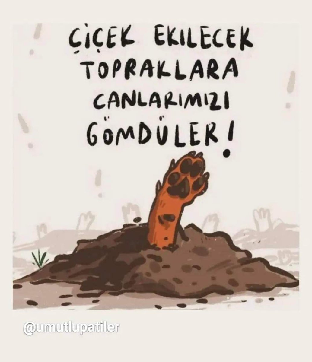 Çiçek ekilecek topraklara canlarımızı gömdüler !
#AltındağdaKatliamVar