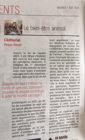 paz_zoopolis's tweet photo. 👏Merci au Journal des Flandres et à Margaux Marcant pour son édito ! #Watten #rapaces
"Éloignés de leurs milieux naturels et apeurés, comment peuvent-ils encore contribuer à aider le monde sauvage ?"
#StopCaptivité https://t.co/yZjy7Wqpap