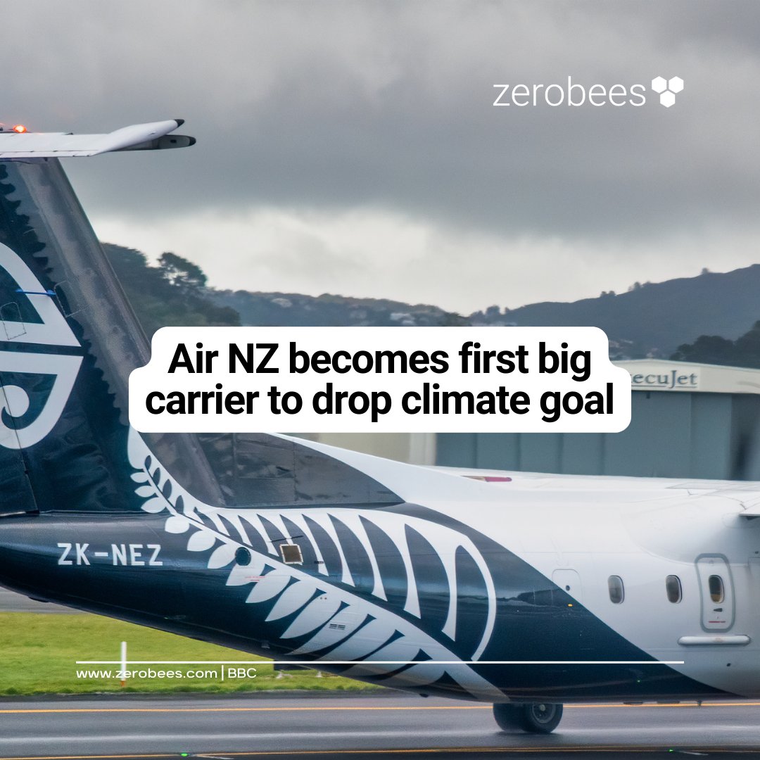 Zerobees tweet media