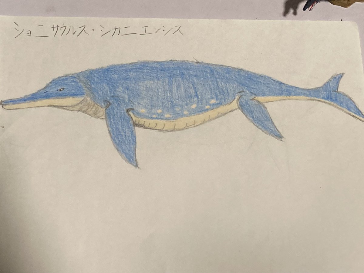 NZSjIFiJi8eDWdD's tweet photo. ショニサウルス・シカニエンシスの色塗り中…
図録の子を参考にしてるんですが某任天堂のゲームキャラクターにしか見えぬ💦
向こうは速いけどこっちは遅そう!
#Shonisaurus https://t.co/mFMRG6LNzv