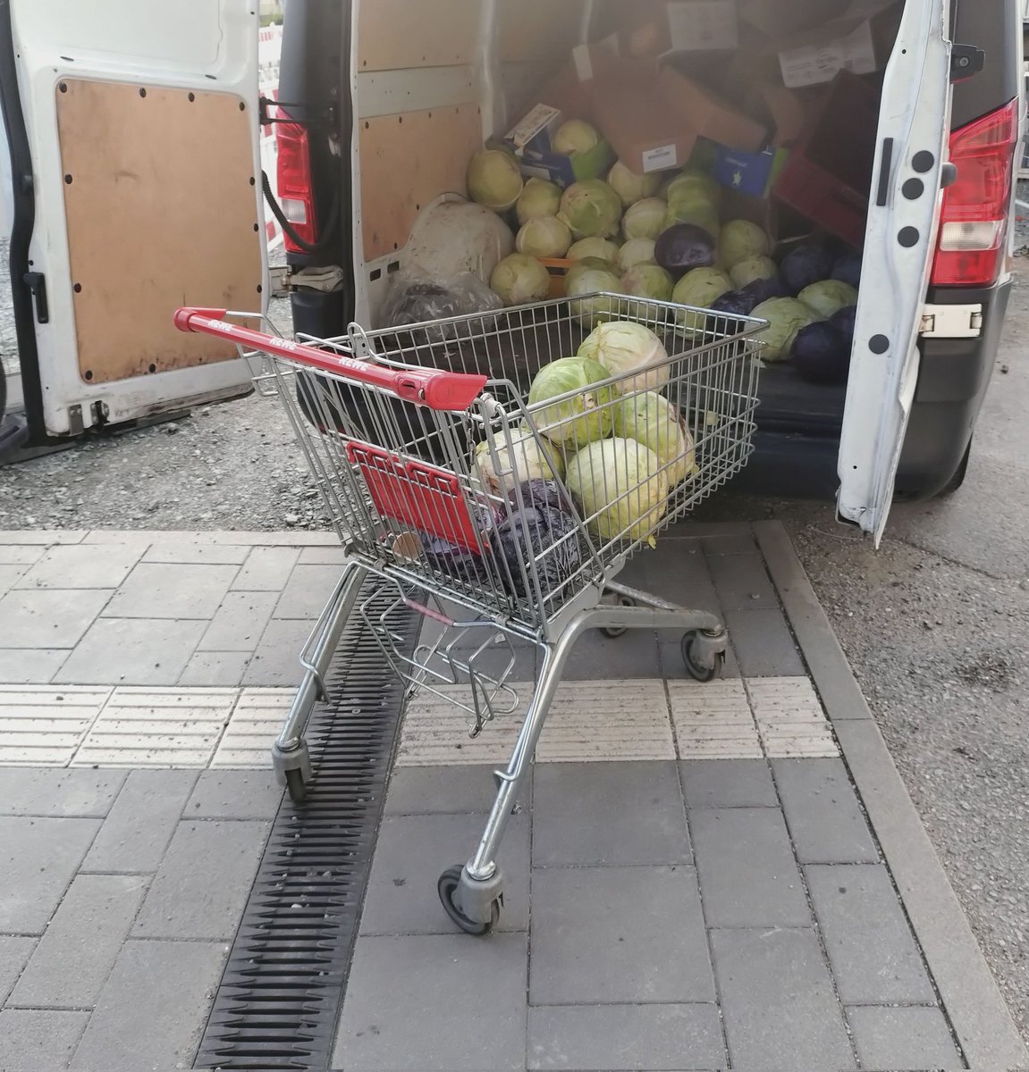 Das Volk ist dumm,
das macht der Kohl.
Er bläht nur unterm Schurze.
Den Kopf hingegen lässt er hohl.
So herrscht im Reich, ich sag: Zum Wohl, politisches Gefurze.
*Walther von der Vogelweide
**Rare Aufnahme einer Wagerlfütterung mit geistigem Erguss aus anno dazumal.
<a href="/Wagerlkunst/">Einkaufswagenkunst</a>