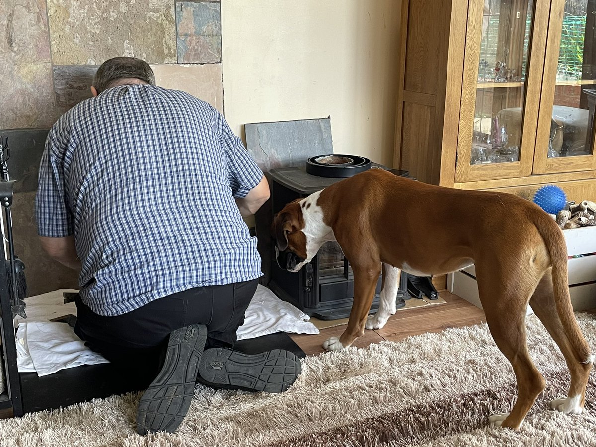What doin dad, can I help ? 🐶😂😂