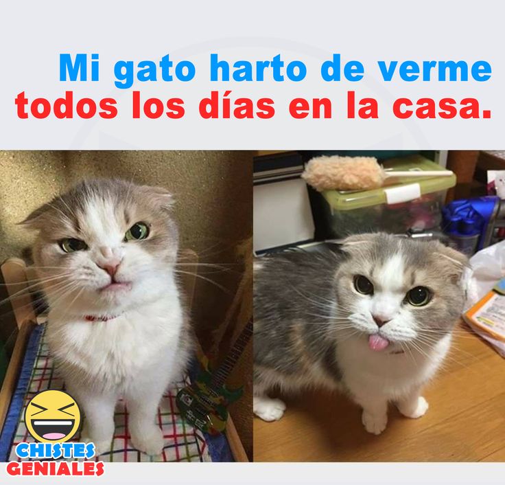 jc (@jcdcg2008) on Twitter photo 