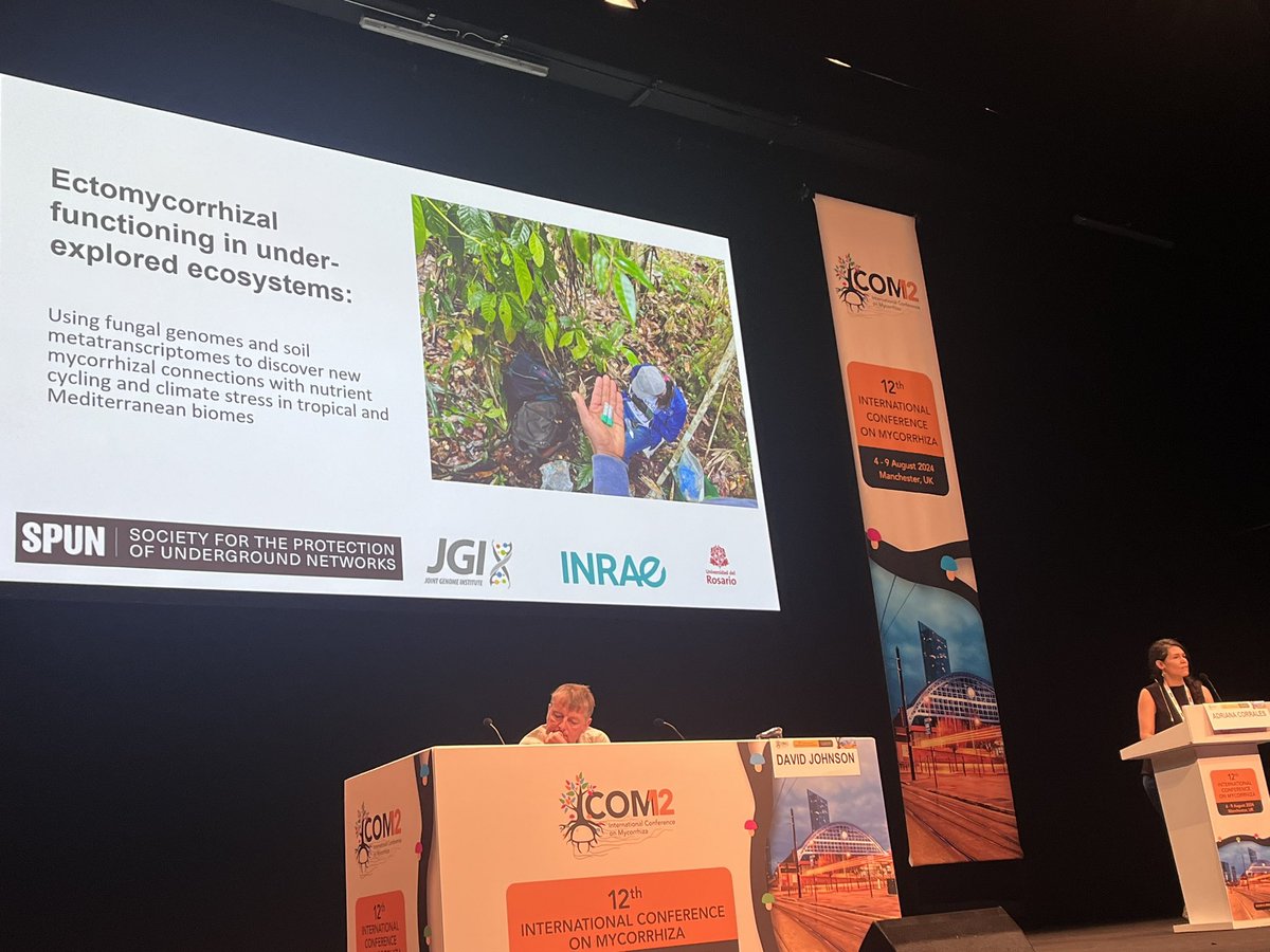 South American Mycorrhizal Research Network (@southmycorrhiza) on Twitter photo Fantastic presentation by our own <a href="/adri_corrales33/">Adriana Corrales</a> highlighting her huge <a href="/jgi/">Joint Genome Institute</a> project with <a href="/fmartin1954/">Francis M. Martin</a> <a href="/spununderground/">SPUN</a> to understand ectomycorrhizal functioning in underexplored ecosystems! Fantastic presentation by our own <a href="/adri_corrales33/">Adriana Corrales</a> highlighting her huge <a href="/jgi/">Joint Genome Institute</a> project with <a href="/fmartin1954/">Francis M. Martin</a> <a href="/spununderground/">SPUN</a> to understand ectomycorrhizal functioning in underexplored ecosystems!