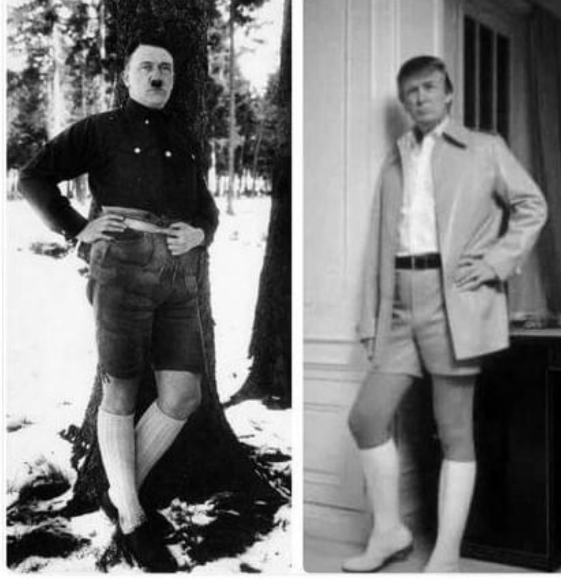 Who still needs more proof to see that Donald Trump wants to be EXACTLY like his idol Adolf Hitler in every way possible? Not me, I've been convinced! What about you? Yes or No?🤔