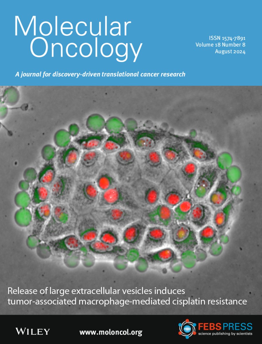 MolOncology's tweet image. 🌅August Issue is online🧴⛱️

🎯Focus on the tumour microenvironment, the immune system and cell metabolism interaction, in relation to various therapeutic approaches utilised for the treatment of cancer

🏊‍♀️Dive in
🔓buff.ly/3SHud85

#CancerMetabolism #TME #ImmunoOnc