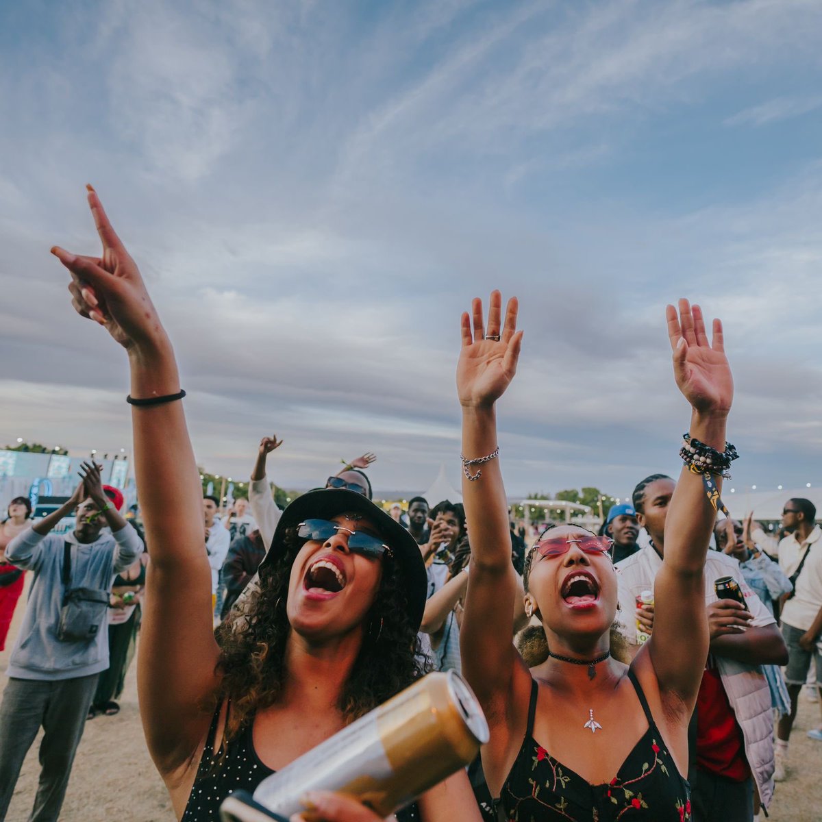 Rocking the Daisies tweet media