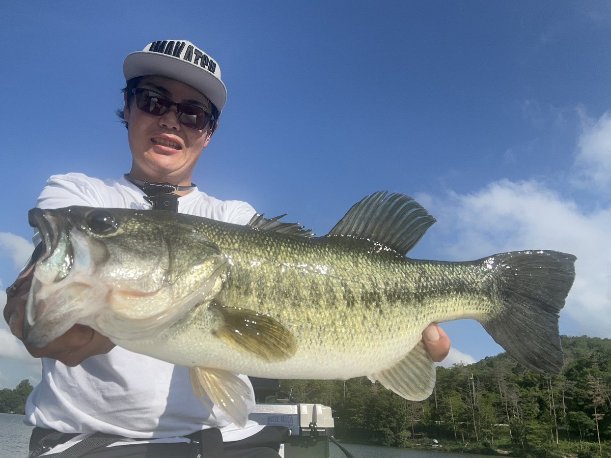 寺本直樹 tweet media