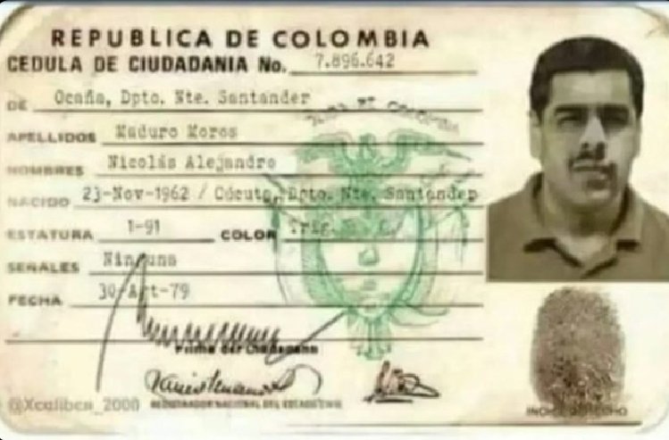 Nelson Carvalheira 🇧🇷 tweet media