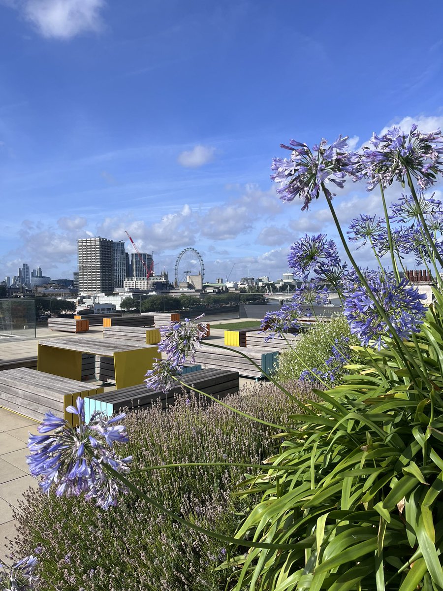 Kallie Townsend tweet media