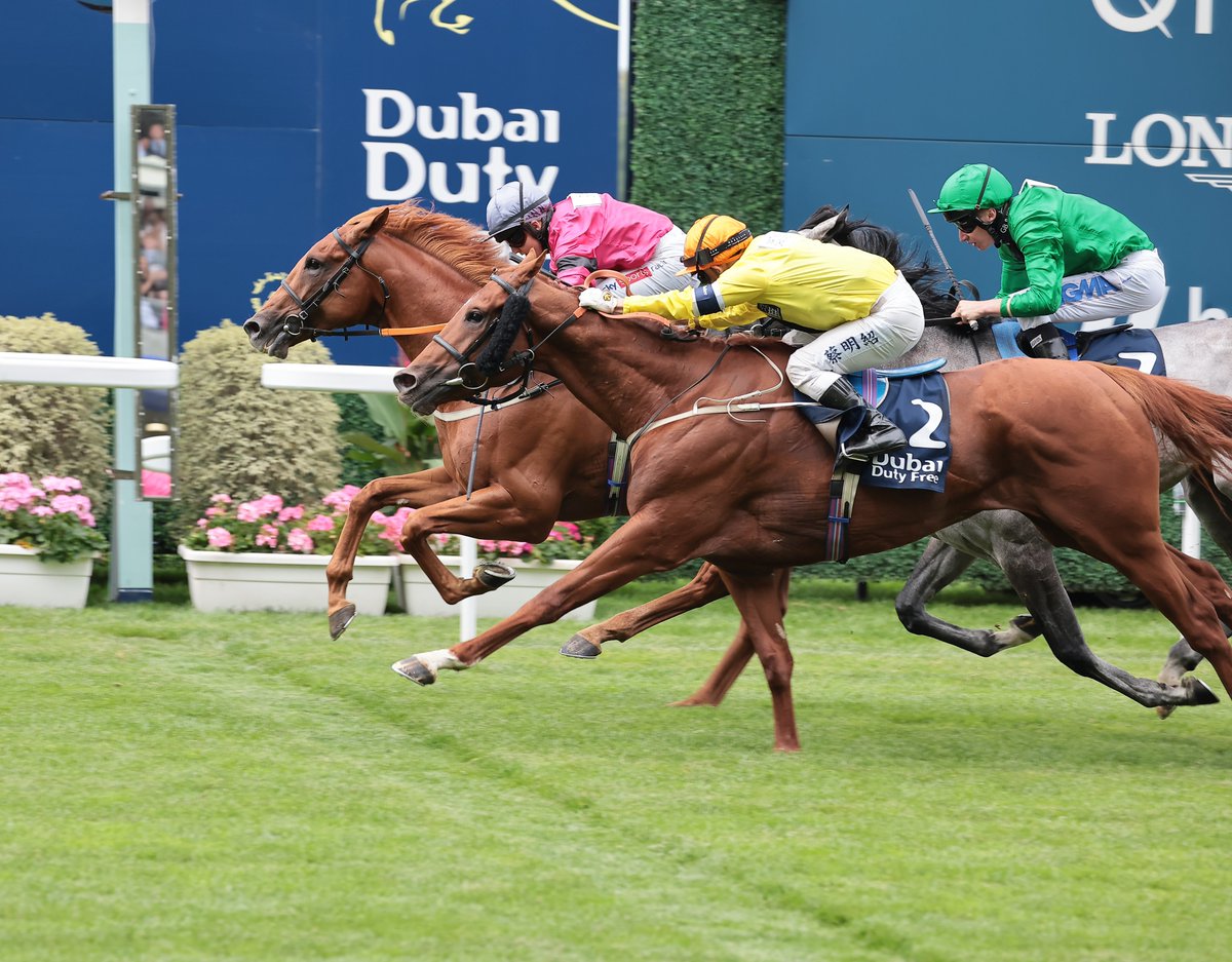 Racing Post tweet media