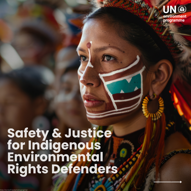 andersen_inger's tweet photo. On #IndigenousPeoplesDay, we at @UNEP continue to call for their rights to be protected at all cost.

Indigenous Peoples are true environmental defenders &amp; on the frontline of global conservation. Our latest story looks at their work protecting the Amazon: https://t.co/wPxtb7kaYC