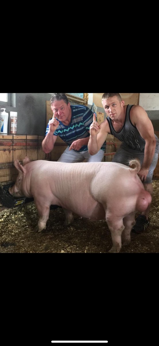 Shane Sparks tweet media