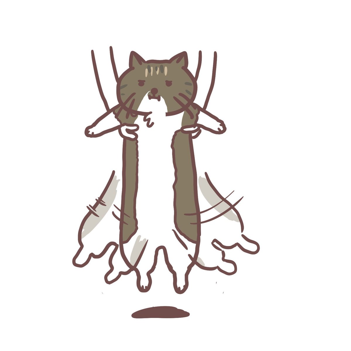 あやねこや (@neko_buna) / X