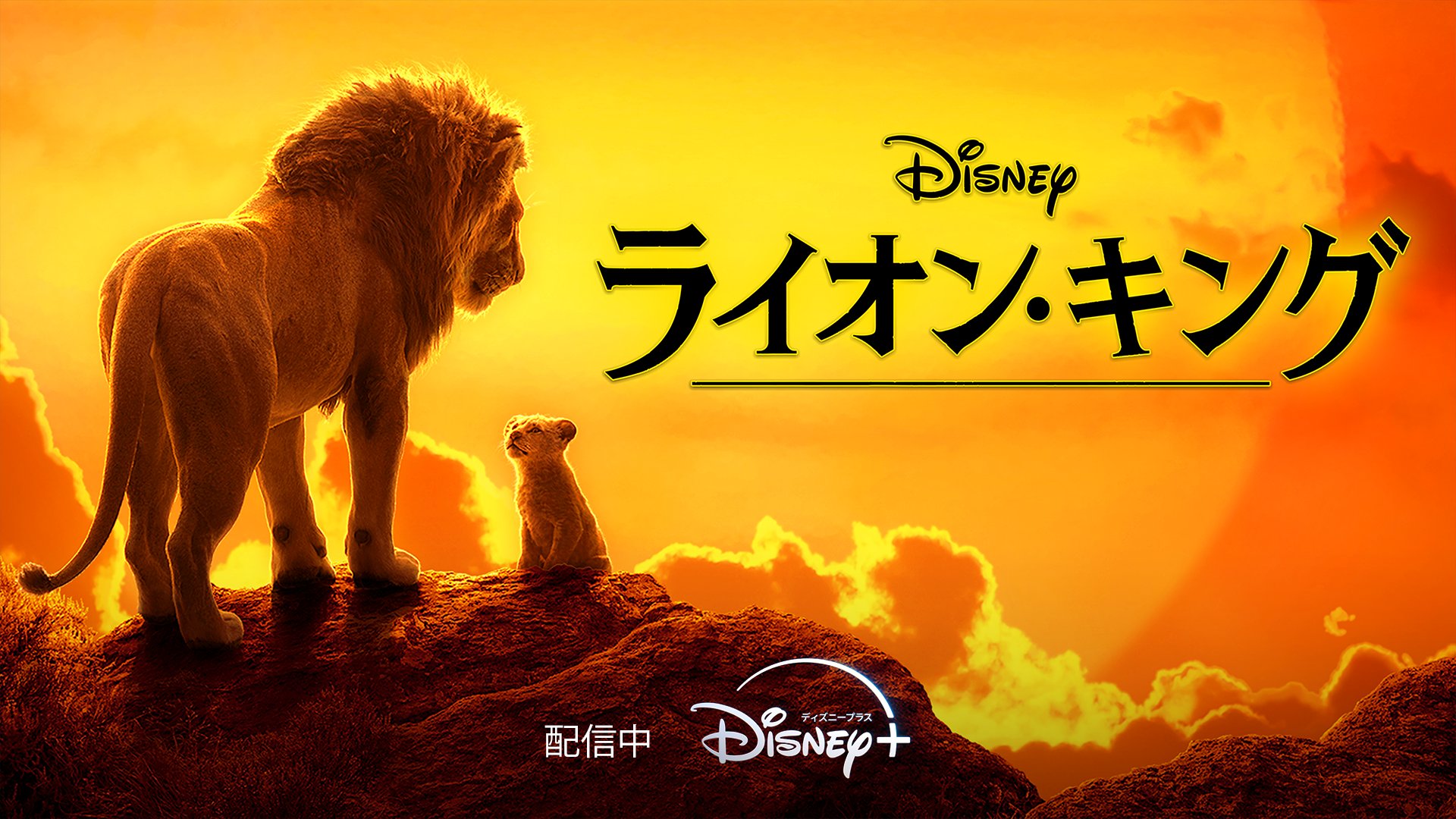 気高くて強靭、知能も高い百獣の王 ライオンさんの銀貨 maxresdefault.jpg