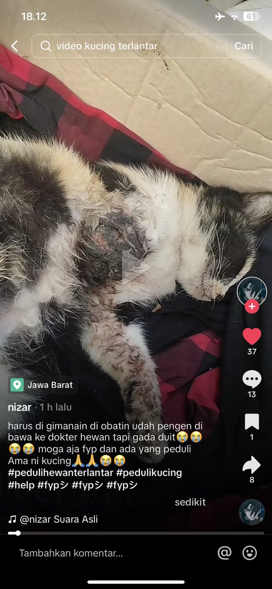 woodytabooties's tweet photo. Kakinya seperti ini kemarin dan hari ini masih belum dibawa ke klinik. Tolong guys ramein tiktoknya ya @.nizarabk3 #zonajajan #opendonation #zonaBU https://t.co/p3ehPQwC1X