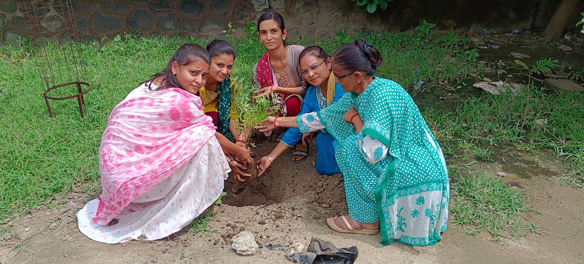 આજ રોજ પાલીતાણા તાલુકા પંચાયત ખાતે એક પેડ માં કે નામ અભિયાન અંતર્ગત માન.જિલ્લા વિકાસ અધિકારી સાહેબશ્રીની પ્રેરક ઉપસ્થિતિમાં વૃક્ષારોપણ નું આયોજન કરવામાં આવેલ